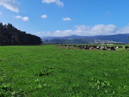 271A Kuku Beach Road, Manakau