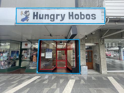 187 George Street, Dunedin Central