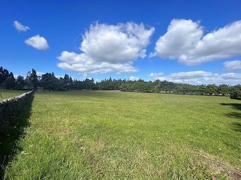 67 Millington Road, Maunu