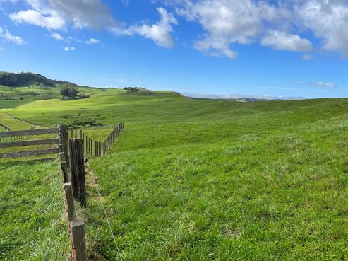 401 Waikaretu Valley Road, Glen Murray