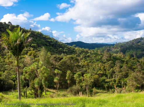 542 Duddy Road, Rawene