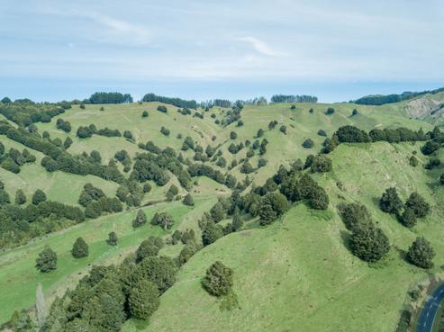 270 Okahukura Saddle Road, Waimiha-Ongarue
