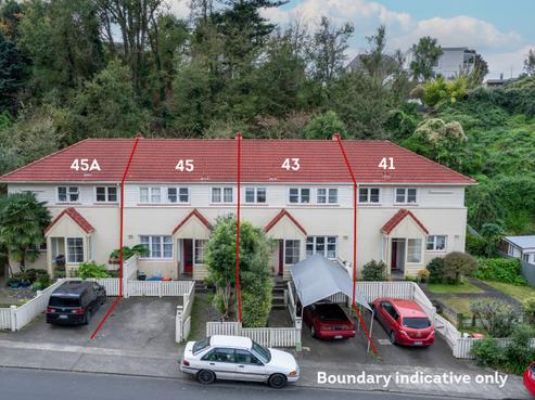 45A Milton Road, Napier Hill