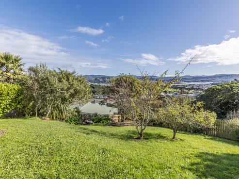 110A Sidlaw Street, Strathmore Park