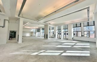 Excellence in Auckland