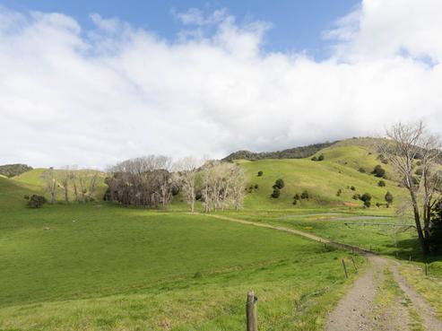 1557 Waihue Road, Dargaville Surrounds