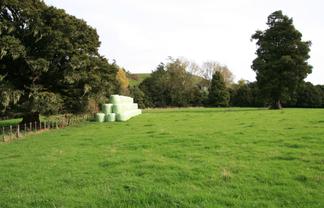 2155 Otaraoa Road, Tarata