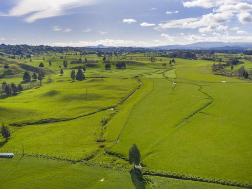 2848 State Highway 4, Owhango