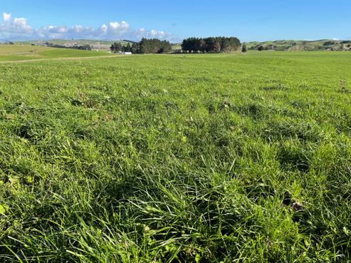 569 Maunga Road, Dannevirke