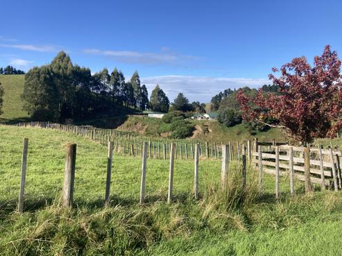 498 Apley Road, Puketapu