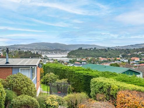 25 Aotea Street, Tainui