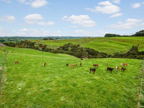 386C Kauri Road, Onewhero