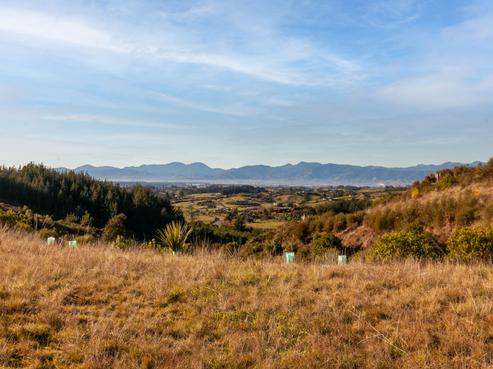 3 Mahoe Close, Mahana