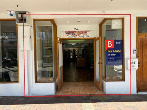 247 Emerson Street, Napier South