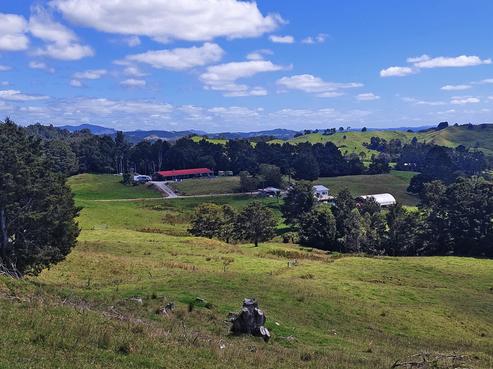 246 Marlow Road, Ruatangata