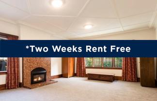 1/57 Manor Place , Dunedin Central