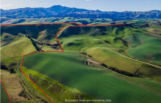  Mt Michael Valley Road, Fairlie
