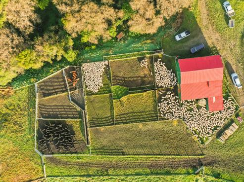 1720 Lake Road, Wairoa