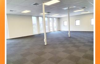 Spacious Office/ Warehouse in Grey Lynn
