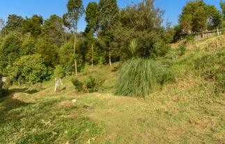 46 Graham Place, Bellevue