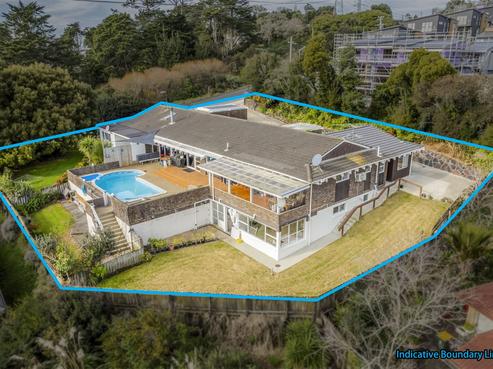 41 Hilltop Road, Flat Bush