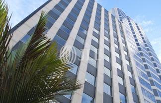 Modern CBD Space