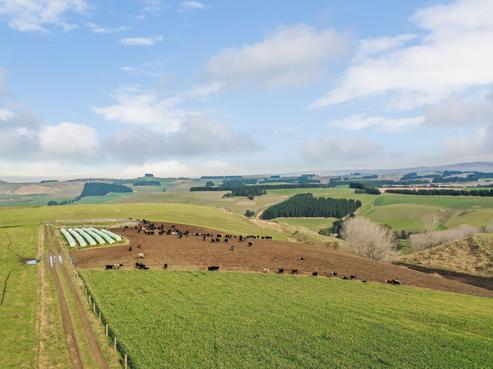 246 Tilverstowe Road, Duntroon