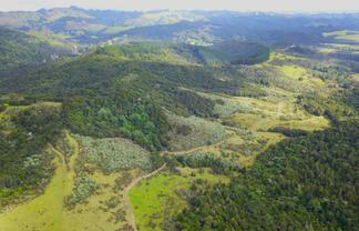 Lots 1 & 2 Paranui-Toatoa Road, Taipa