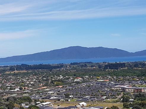 39 Wilson Way, Waikanae
