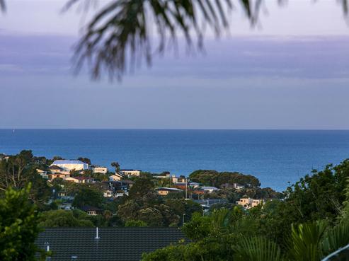 14 Galaxy Drive, Mairangi Bay