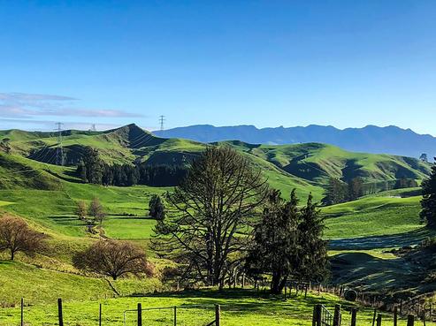 4 Owaikura Road, Otorohanga