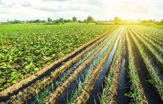 Well Established Agri Sales & Service Business