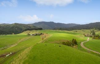 71 Poads Road, LEVIN