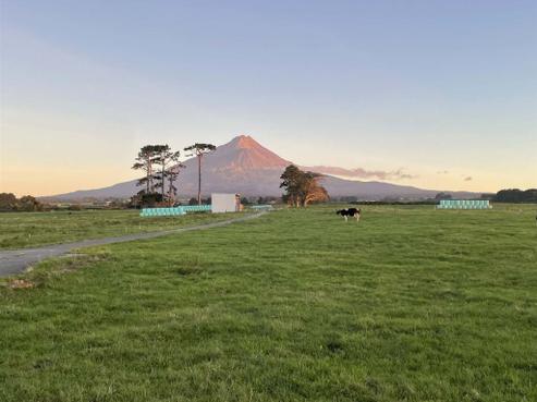 1703 Eltham Road, Manaia