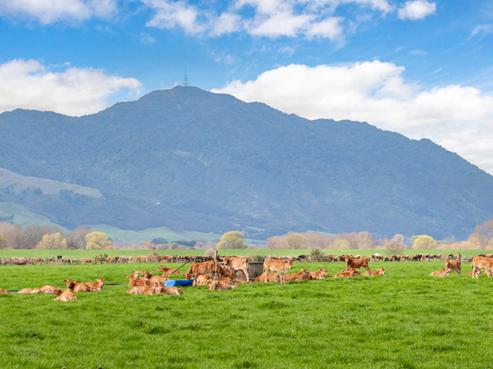 227 Endowment Road, Te Aroha