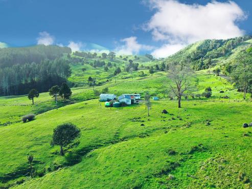 2288 Waihue Road, Dargaville Surrounds