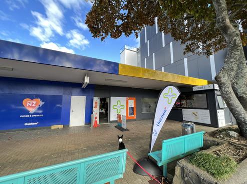 2 Bute Road, Browns Bay