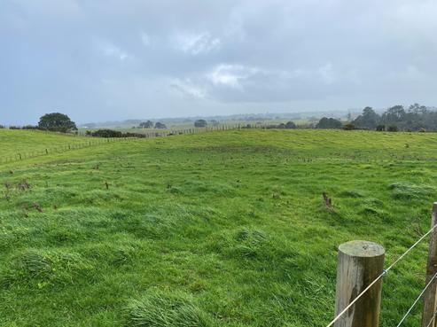 78 Grahams Beach Road, Manukau Heads