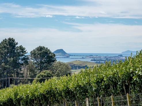 23B Neewood Road, Ohauiti