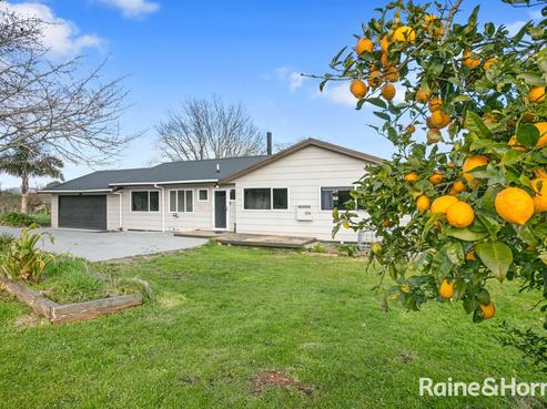 41 Rifle Range Road, Waihi