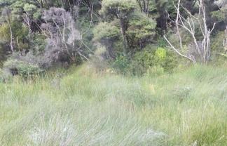 TTR x 3 Kumeu, Coatesville