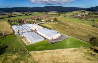 CBRE - Rare Large Hastings Facilities Available Now