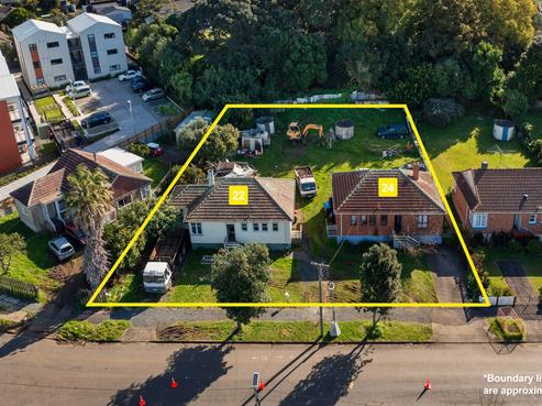 24 Roosevelt Avenue, Onehunga