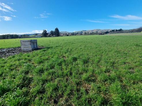 189 Homeview Road, Cheviot