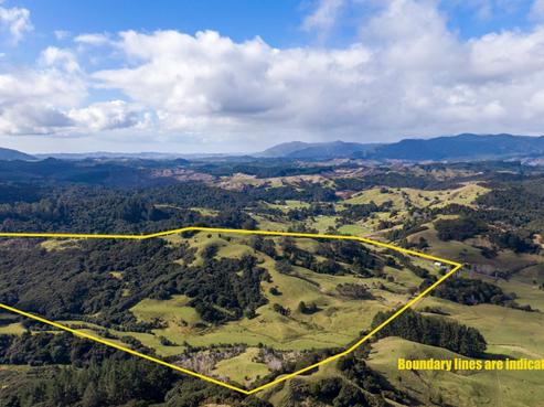 307 Diggers Valley Road, Herekino