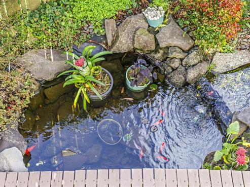 27 Hale Crescent, Bayview