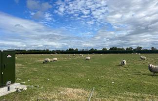 Freehold industrial section for sale