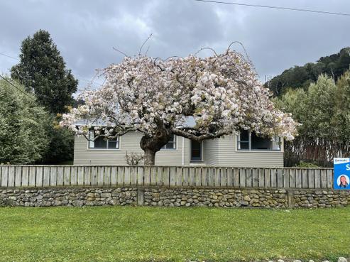 22 Renall Street, Featherston
