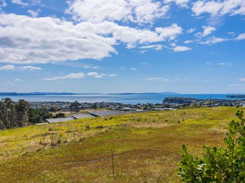 1 Woodridge Drive, Stanmore Bay