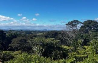 50 Kitewaho Road, Swanson